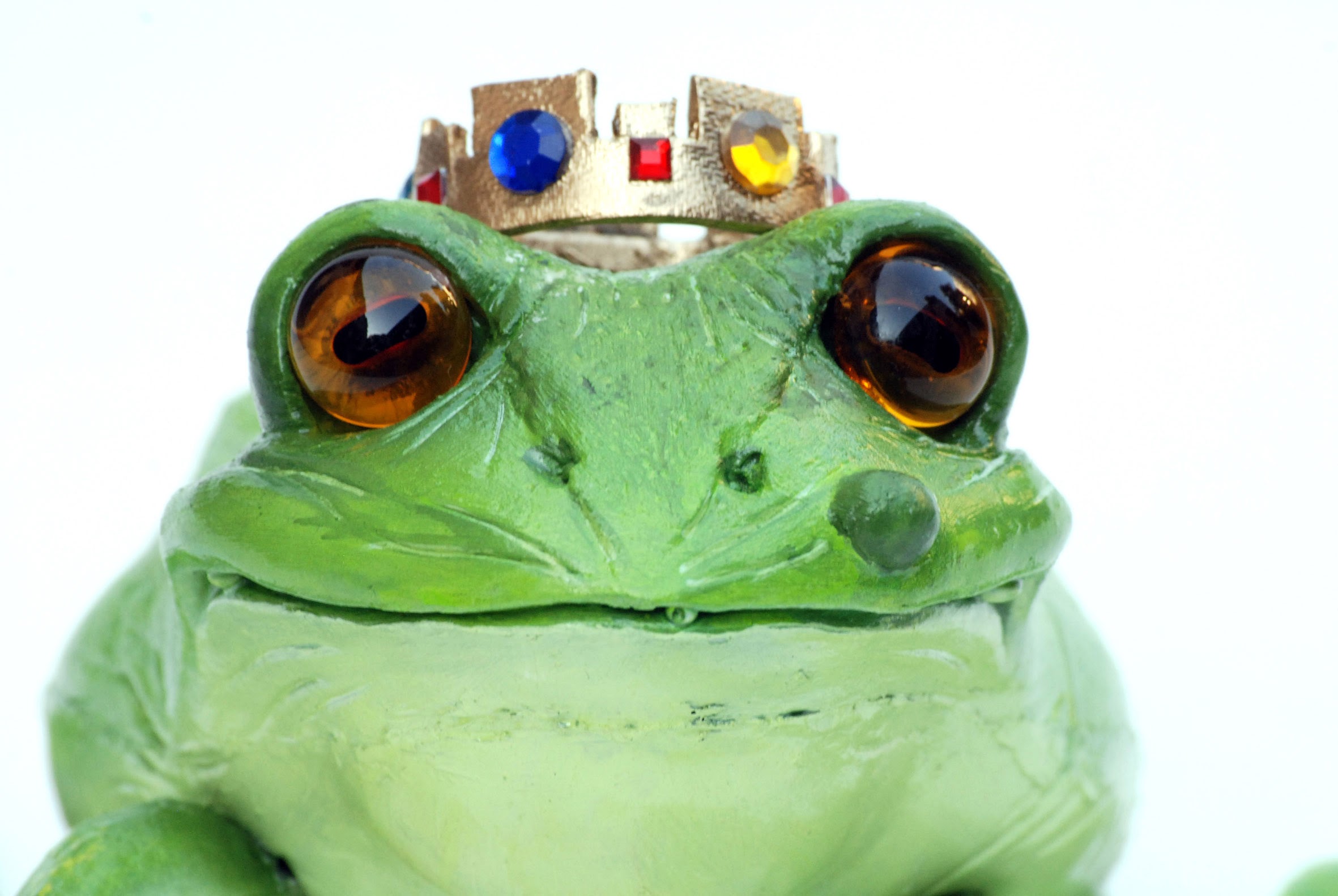 Ein Frosch mit Krone